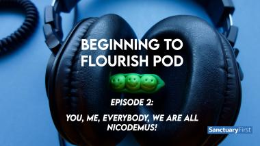 Beginning to Flourish Pod 2 — You, me, everybody, we are all Nicodemus!