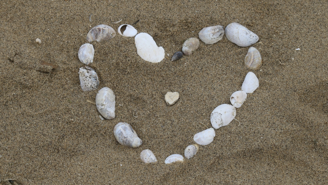 shells_heart_beach_love_unsplash